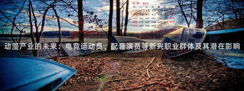 同人动漫天堂：动漫产业的未来：电竞运动员、配音演员等新兴职业群体及其潜在影响