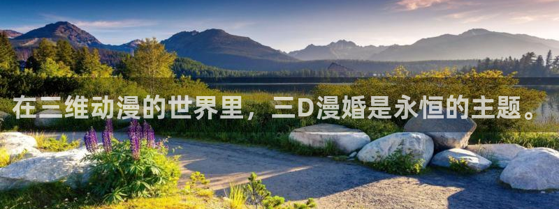 动漫天堂.：在三维动漫的世界里，三D漫婚是永恒的主题。