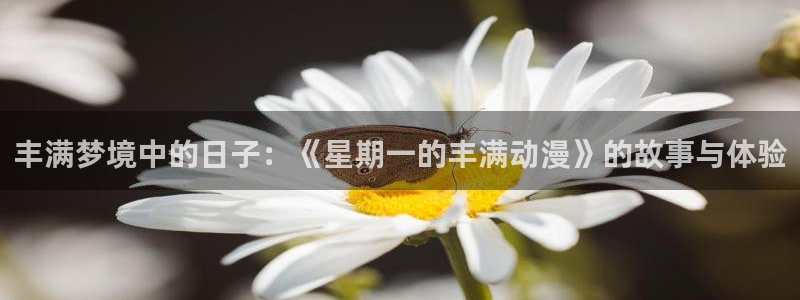 禁动漫天堂：丰满梦境中的日子：《星期一的丰满动漫》的故事与体验