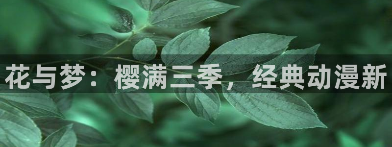 动漫天堂在线：花与梦：樱满三季，经典动漫新