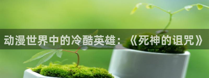 动漫天堂免费在线观看：动漫世界中的冷酷英雄：《死神的诅咒》