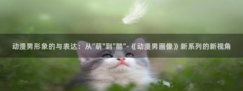 coco动漫天堂：动漫男形象的与表达：从\
