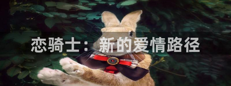 动漫天堂免费在线观看：恋骑士：新的爱情路径