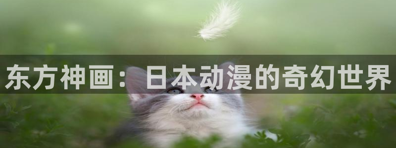 动漫天堂从哪下载安装：东方神画：日本动漫的奇幻世界