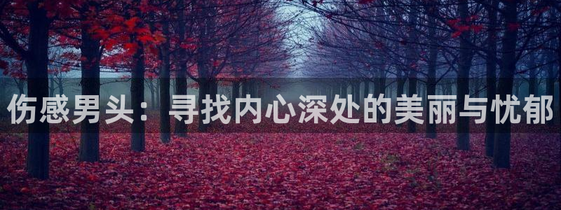 亚洲动漫天堂：伤感男头：寻找内心深处的美丽与忧郁