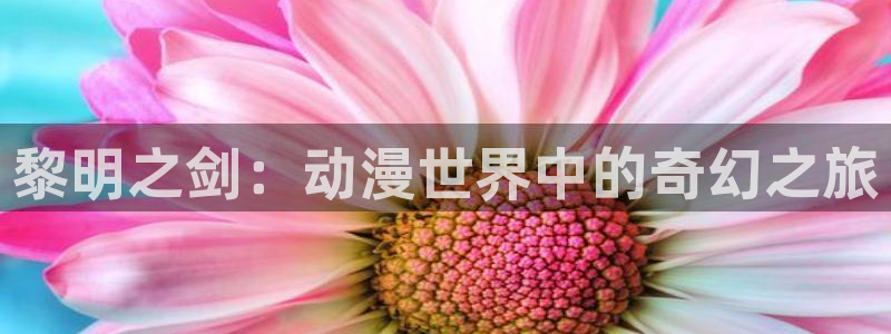 动漫天堂18：黎明之剑：动漫世界中的奇幻之旅