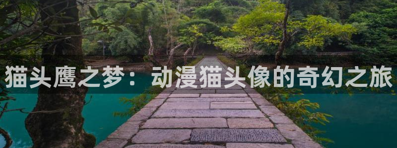 亚洲成人动漫天堂：猫头鹰之梦：动漫猫头像的奇幻之旅