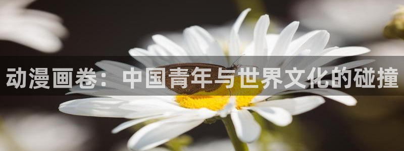 动漫天堂从哪下载安装：动漫画卷：中国青年与世界文化的碰撞