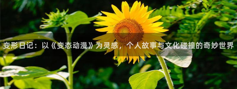 18禁动漫天堂：变形日记：以《变态动漫》为灵感，个人故事与文化碰撞的奇妙世界