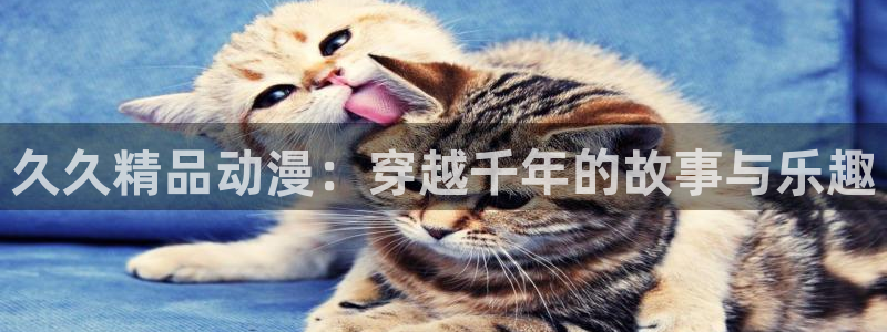 动漫天堂岛：久久精品动漫：穿越千年的故事与乐趣