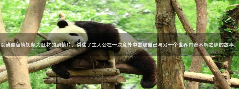 coco动漫天堂：以动漫色情视频为题材的剧情片，讲述了主人公在一次意外中发现自己与另一个世界有着不解之缘的故事。