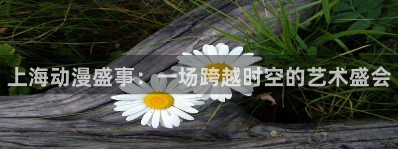 免费动漫天堂之吻：上海动漫盛事：一场跨越时空的艺术盛会