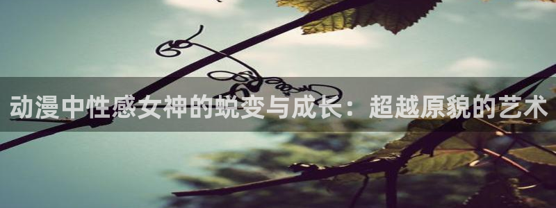 动漫天堂在线免费观看