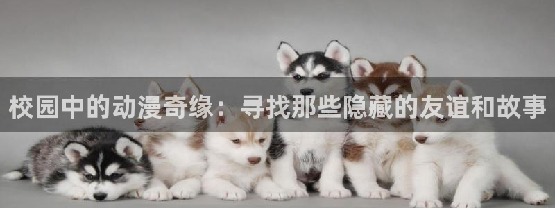 3d动漫天堂