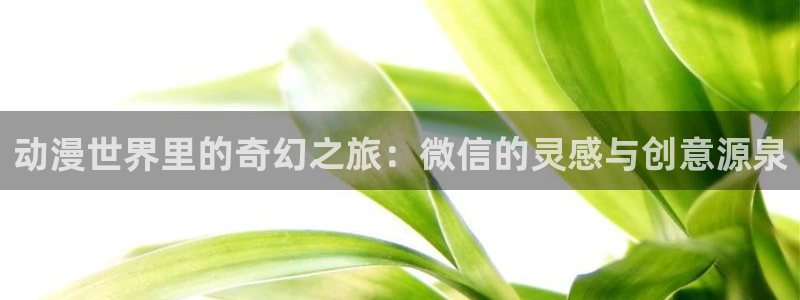 18动漫天堂