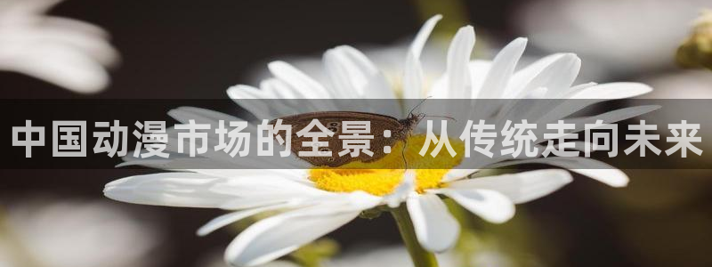 coco动漫天堂
