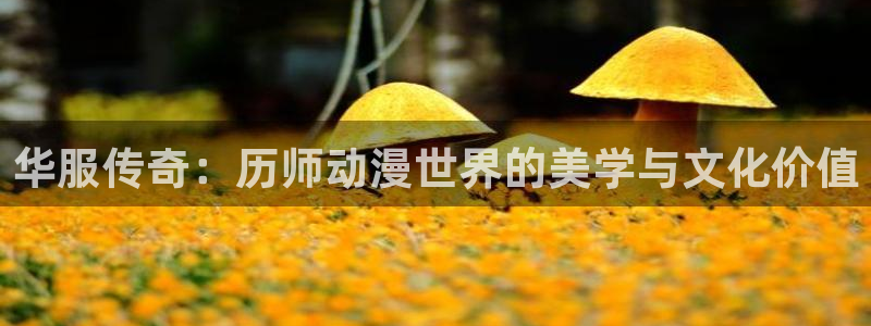 内地动漫天堂