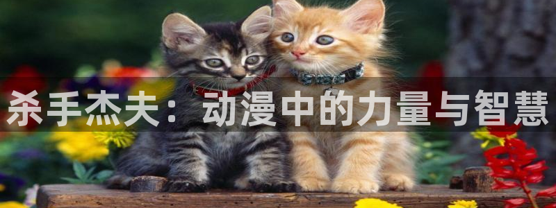 禁漫动漫天堂