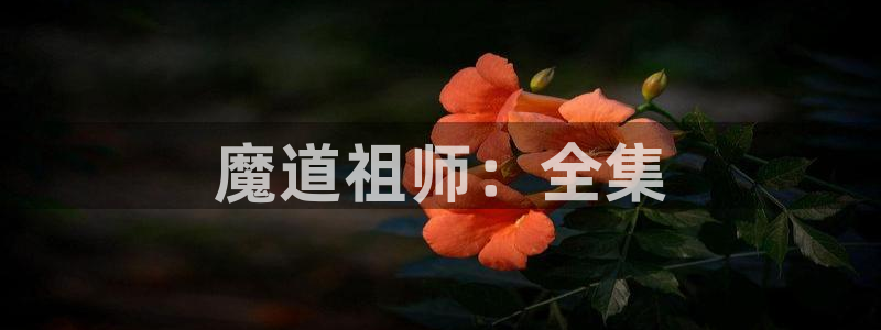动漫天堂3d