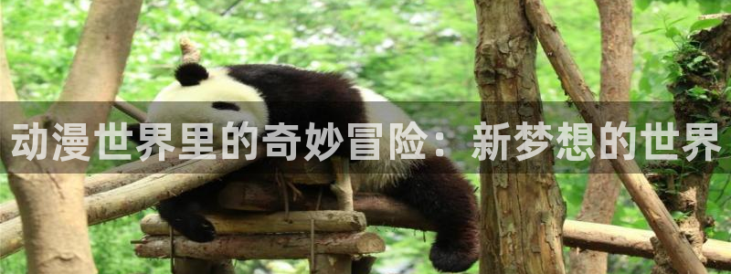 jm动漫天堂