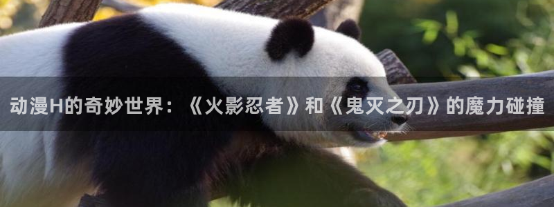 动漫天堂网站
