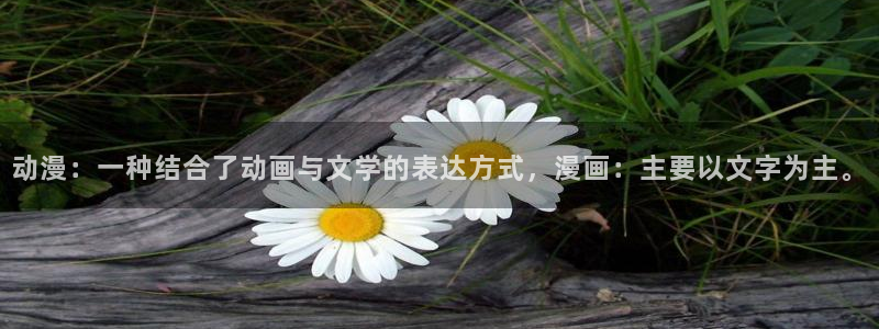 动漫天堂