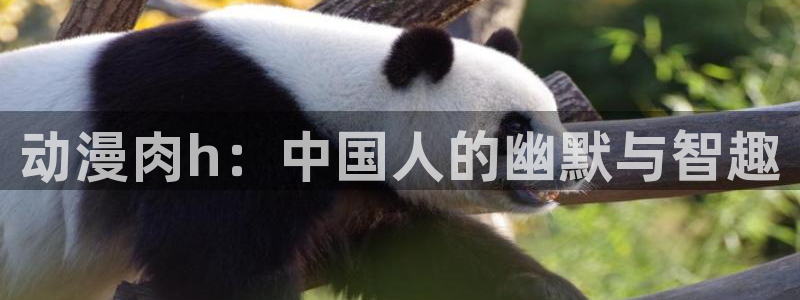 av动漫天堂网