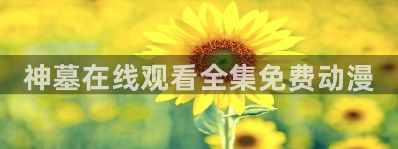 免费动漫天堂之吻