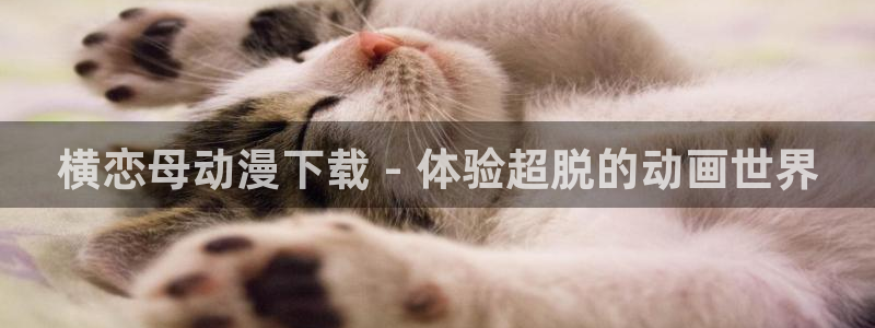 jm动漫天堂