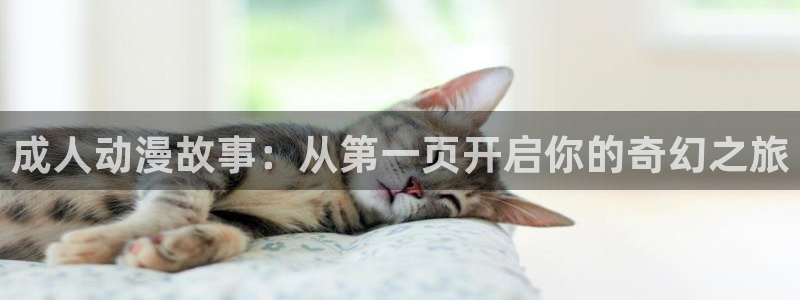 acg动漫天堂