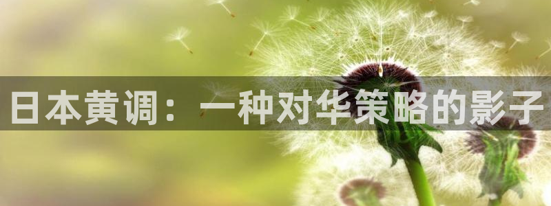 av动漫天堂网