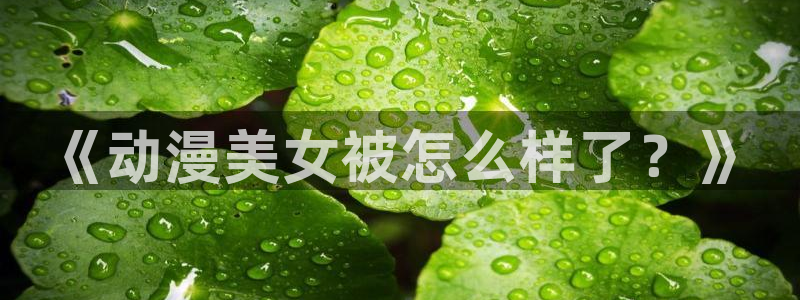 动漫天堂岛