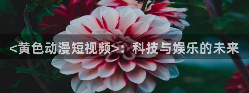 18禁动漫天堂