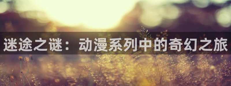 动漫天堂免费观看