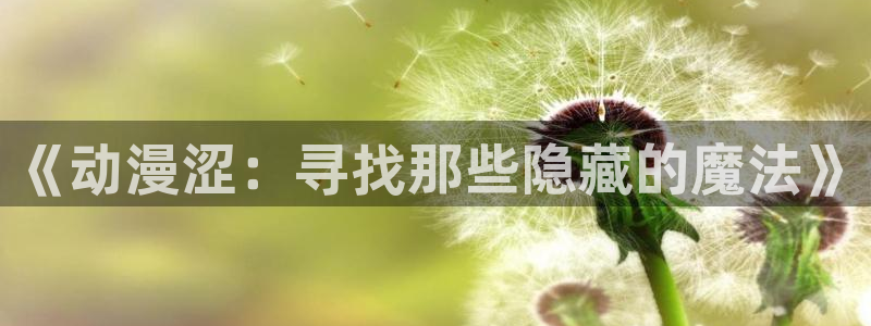 秋叶原动漫天堂