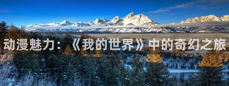 动漫天堂官网