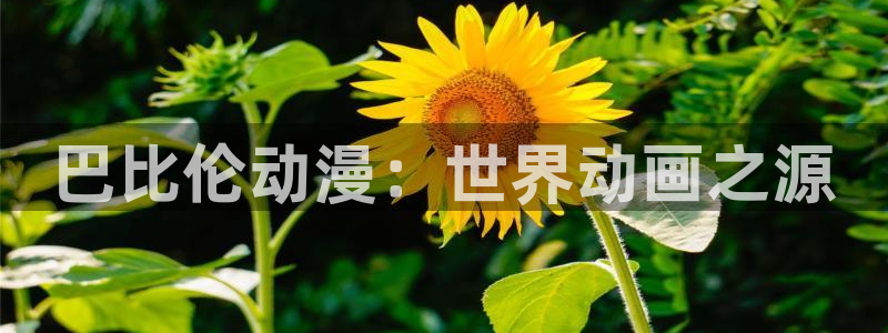 动漫天堂下载正版