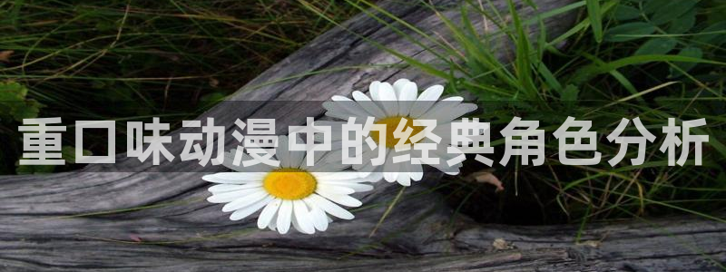 内地动漫天堂