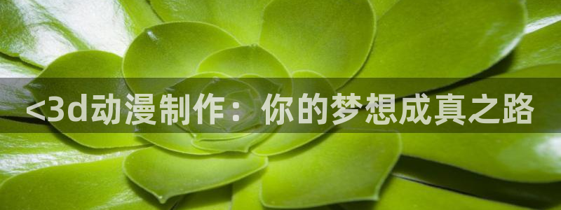 同人动漫天堂