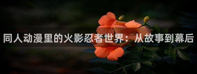 动漫天堂免费在线观看