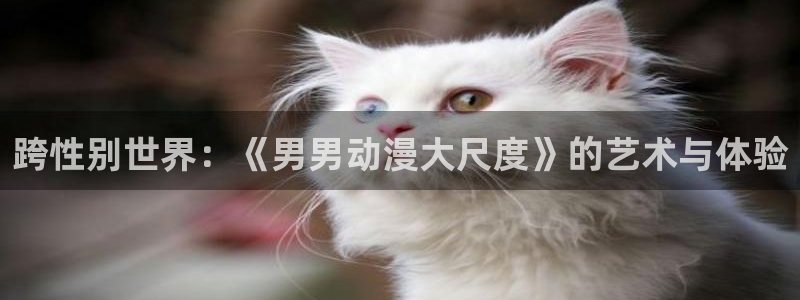 禁漫动漫天堂：跨性别世界：《男男动漫大尺度》的艺术与体验