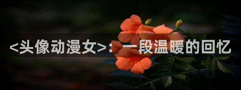 动漫天堂总站：<头像动漫女>：一段温暖的回忆