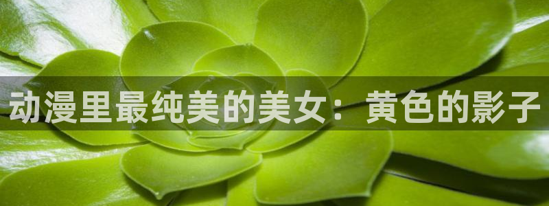 樱花动漫天堂：动漫里最纯美的美女：黄色的影子