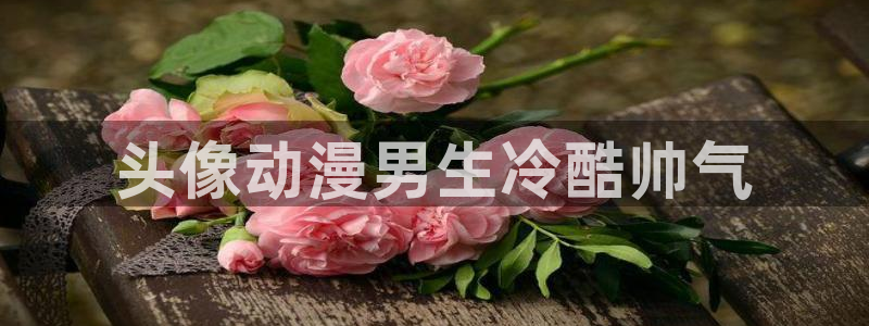 番剧推荐动漫天堂.：头像动漫男生冷酷帅气