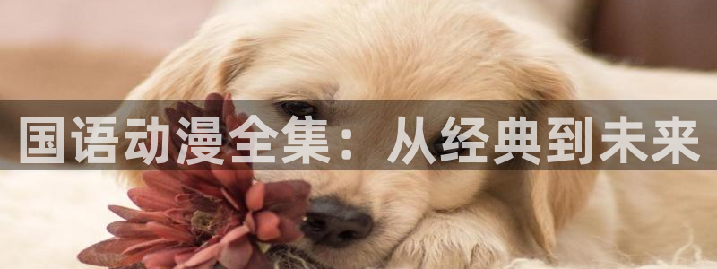 动漫天堂.：国语动漫全集：从经典到未来