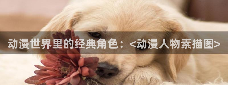 动漫天堂cc：动漫世界里的经典角色：<动漫人物素描图>