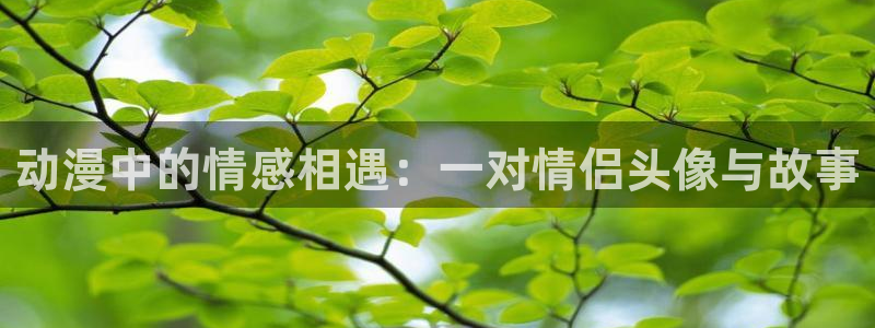 动漫天堂91：动漫中的情感相遇：一对情侣头像与故事
