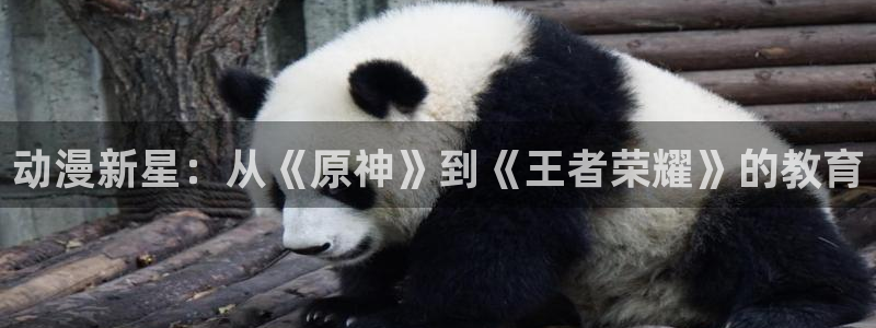 动漫天堂在线免费观看：动漫新星：从《原神》到《王者荣耀》的教育