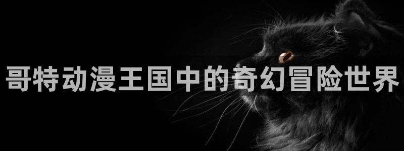 亚洲成人动漫天堂：哥特动漫王国中的奇幻冒险世界
