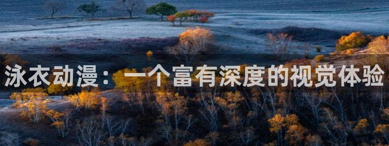 动漫天堂岛